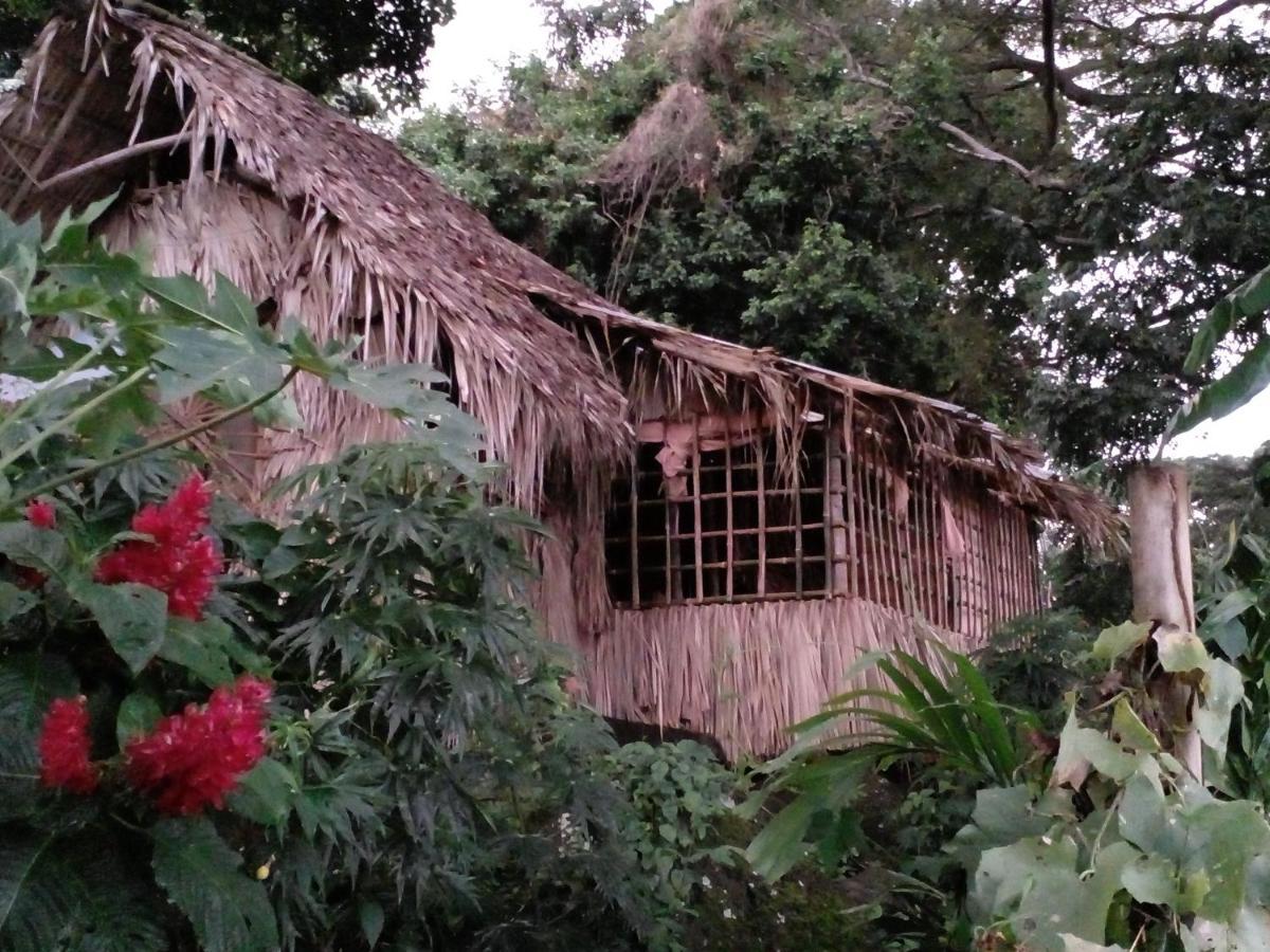 BalgueEl Bamboo Cabins公寓 外观 照片